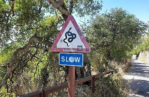 TOP Rock park v Gibraltaru a neobvyklá výstražná značky Hadi s dodatkovou cedulí Slow - zpomal.