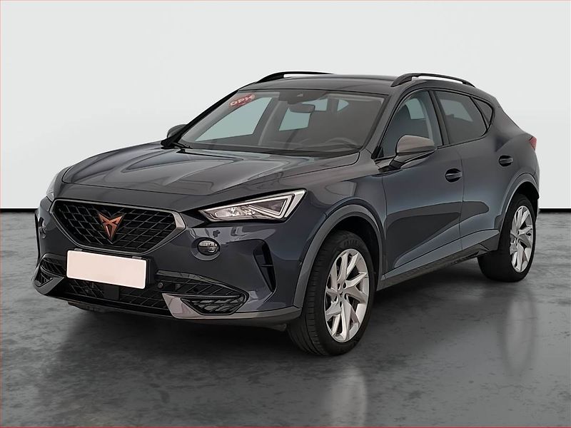 Cupra Formentor (2024) 2.0 TSI 4Drive - fotka 2 z 21