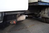 Nissan Cabstar (2003) 3.0TDi,88Kw,6-míst,STK+ME 9/28 - náhled 15