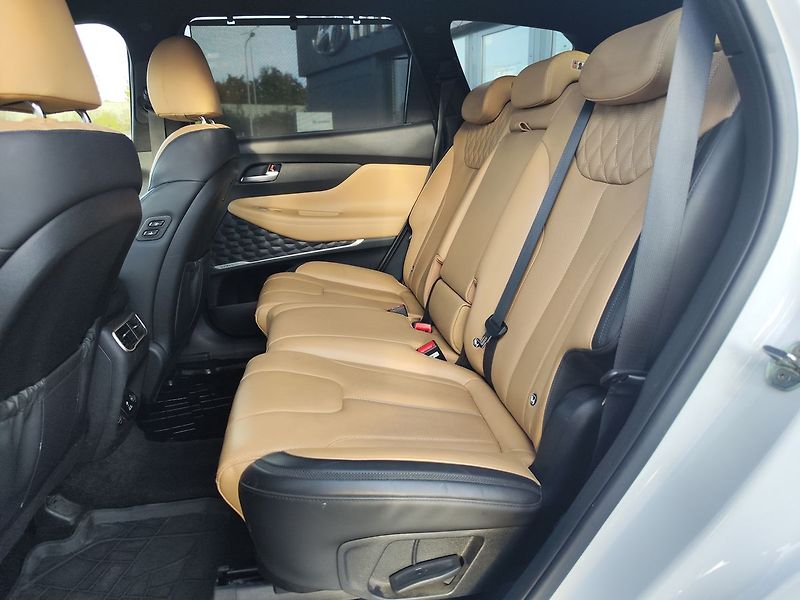 Hyundai Santa Fe 2.2 CRDI/148kW Luxury DCT 4x4 - fotka 16 z 40