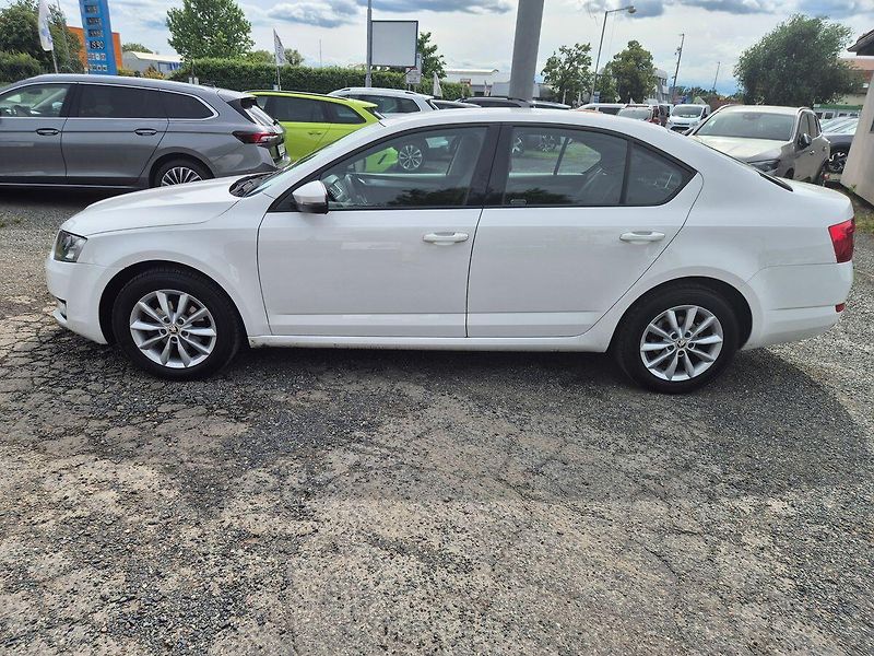 Škoda Octavia 1,6 TDI 81kW Ambition plus, CZ - fotka 8 z 18