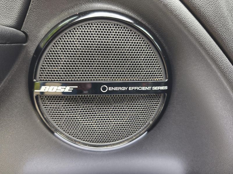 Renault Mégane 2.0 Tce 220 GT - fotka 25 z 28