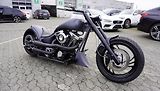 Harley-Davidson FXSTC 1340 Softail Custom - náhled 10