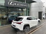 Lexus UX 300h (2024) 2.0   Prestige Plus - náhled 8