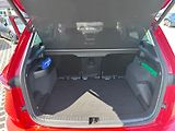 Škoda Karoq 1.5 TSI 110kW Exclusive  - náhled 19