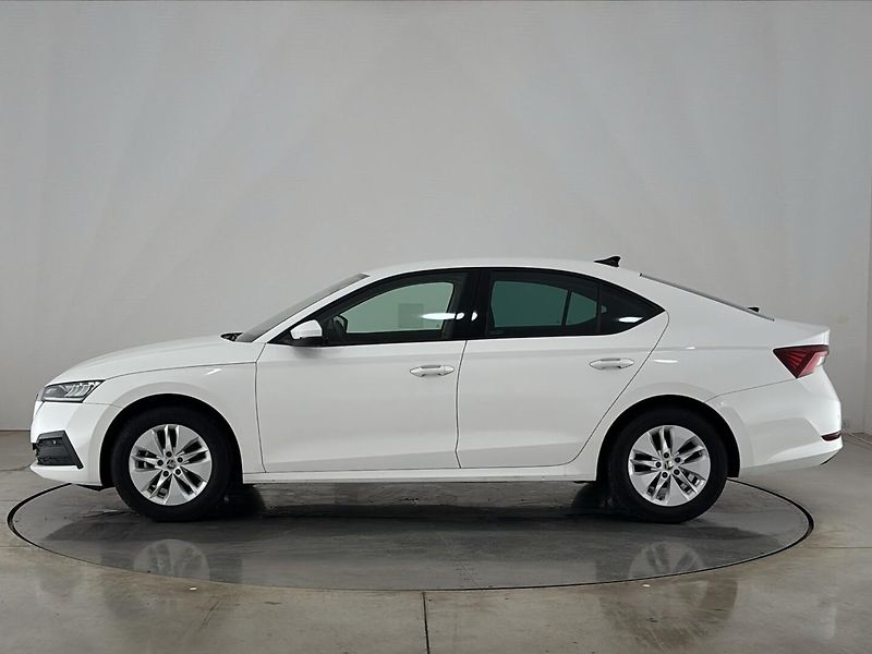 Škoda Octavia Ambition - fotka 3 z 28