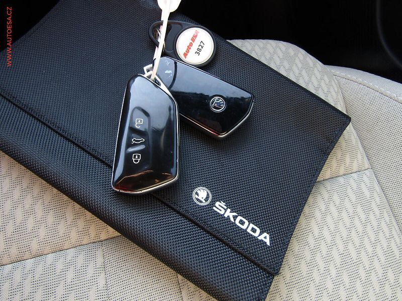 Škoda Octavia (2021) 2.0 TDi 4x4, ČR, Style - fotka 22 z 23