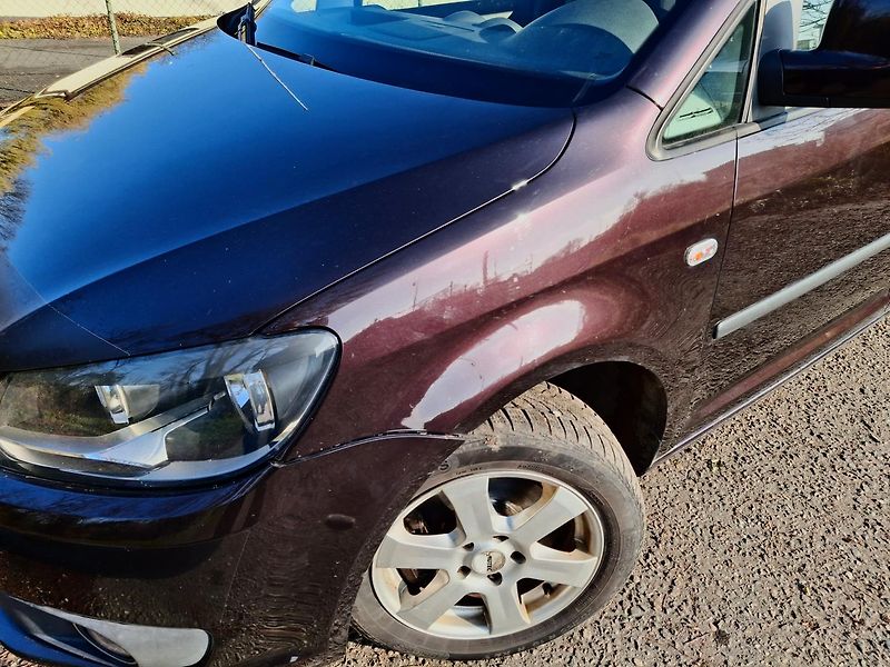 Volkswagen Caddy Maxi TDI 4x4 7 míst  - fotka 5 z 50