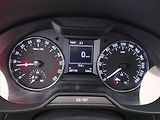 Škoda Octavia (2014) Greenline 1.6 TDI, Xenony - náhled 11