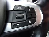 BMW Řada 5 (2019) 530D NAVI ALU NAVI M-PACKET - náhled 23