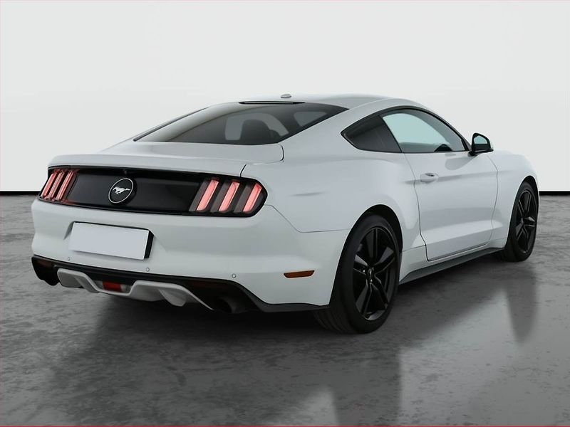 Ford Mustang (2017) 2.3 EcoBoost - fotka 5 z 19