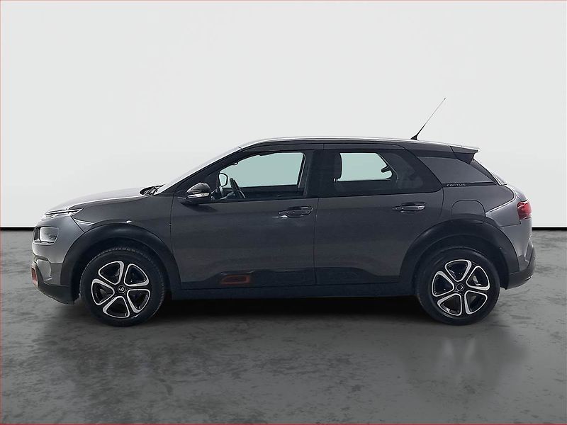 Citroën C4 Cactus (2020) 1.2 PureTech, ČR,1.maj - fotka 3 z 17