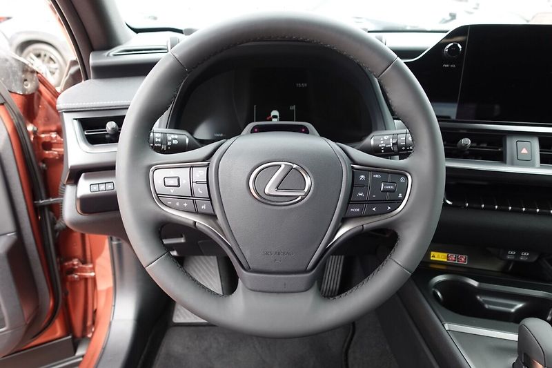 Lexus UX 300h UX300h 2,0 HEV Business Tech - fotka 18 z 34