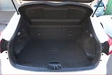 Nissan Qashqai (2014) 1.5 dCi, Navi, Tempomat - náhled 14