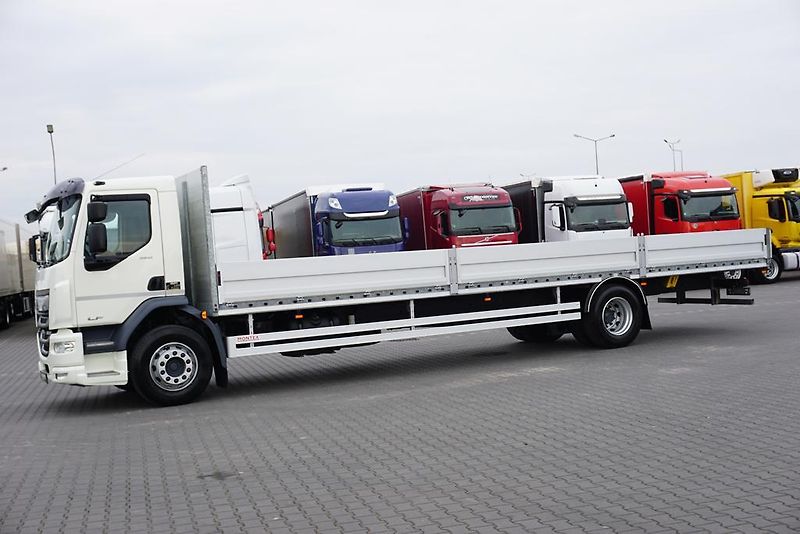 DAF LF (2018) 320 / ACC / E 6 / BURTOWY / 24 - fotka 3 z 44