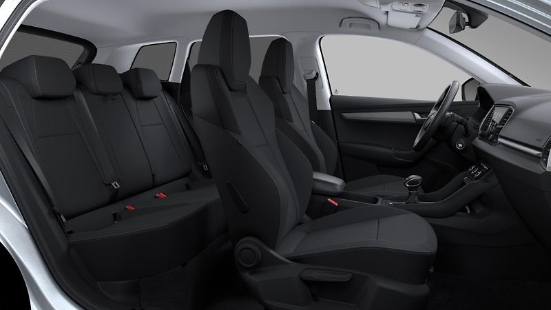 Škoda Karoq (2026) 1,5 TSI 110 KW  Easy - fotka 10 z 11