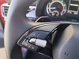 Škoda Scala (2024) 1.0 TSi, ČR, Style, DSG - náhled 17
