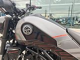 Benelli Leoncino 125 (2024) - náhled 14