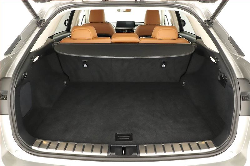 Lexus RX 400h (2023) 300 AWD - fotka 19 z 20