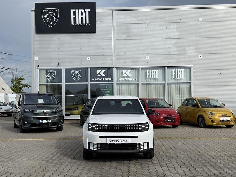 Fiat Grande Panda (2026) Icon 1.2 Turbo Hybrid 110k eDC - fotka 8 z 24