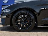 Ford Mustang 5,0 GT V8 330kW 55YearsEdition - náhled 12