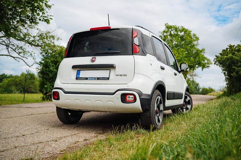 Fiat Panda (2024) City Life 1.0 FireFly - fotka 6 z 24