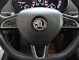 Škoda Octavia (2015) 1.6 TDI 4x4, 4X4, Bi-Xenony - náhled 19