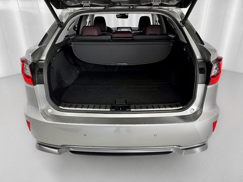 Lexus RX 450h h e-CVT AWD LUXURY, ACC, EL. Š - fotka 33 z 34