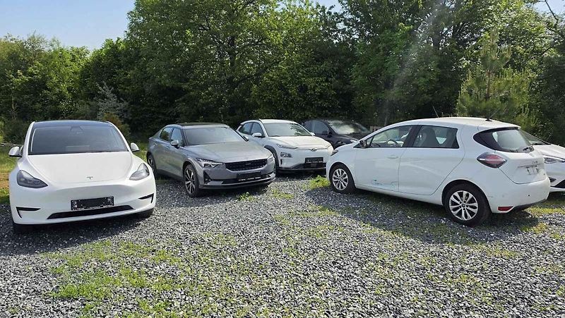 Dovoz elektromobilů se zvýšil.