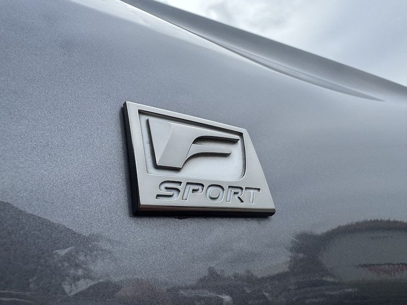 Lexus RC 300h (2016) F-Sport LED Kůže Kamera - fotka 44 z 49