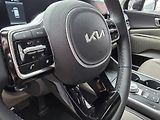 Kia Carnival 2.2-9 MÍST-DPH-KŮŽE - náhled 22
