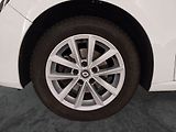 Renault Mégane (2019) 1.3 TCe, Tempomat - náhled 15