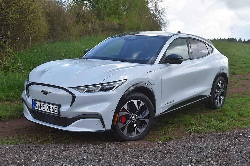Mustang jsme ukázali i koním chovaným na farmě