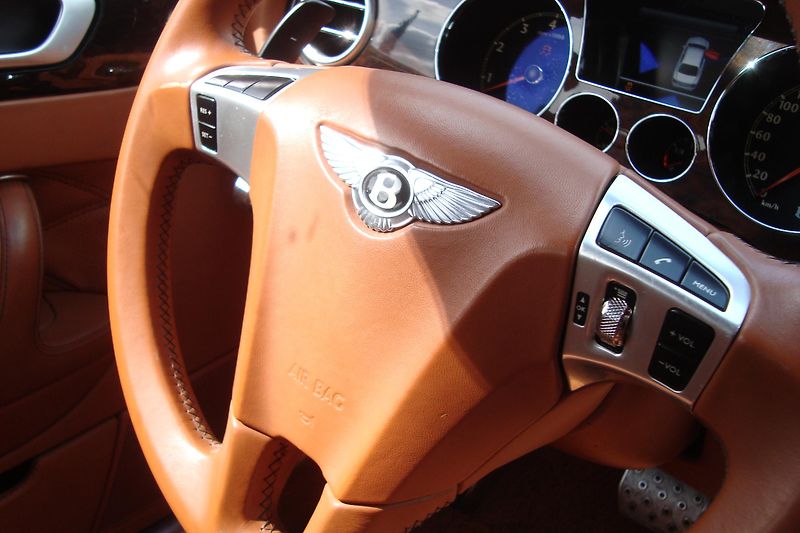 Bentley Continental Flying Spur (2013) SPEED 6.0 W12 - fotka 40 z 49
