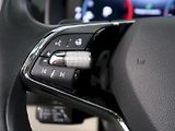 Škoda Kodiaq (2022) L&K 2.0TDI 147KW 4x4 7MÍST WEB - náhled 24