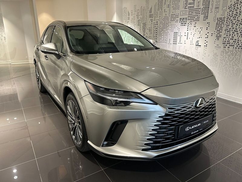 Lexus RX 450h+ 2.5 PHEV LUXURY - fotka 3 z 12
