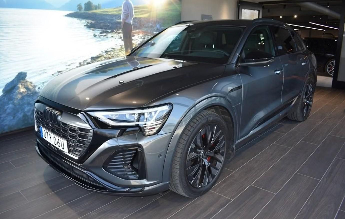 Audi Q8 e-tron 55 Q S-Line Kamera Matrix Taž.