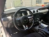 Ford Mustang (2019) Auto na cestě - náhled 9