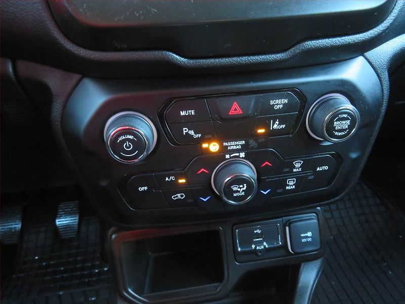 Jeep Renegade (2020) Limited 1.0 T-GDI, Serv.kniha - fotka 15 z 16