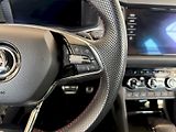 Škoda Kodiaq (2020) RS 2.0 TDI / 176 kW 4x4 DSG - náhled 12