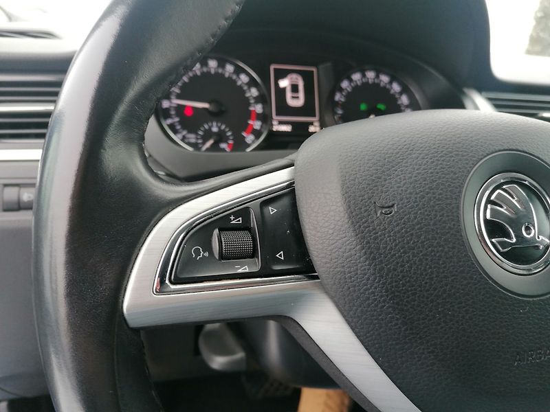 Škoda Rapid (2016) 1.4 TDi DSG výhřevy, Tempomat - fotka 16 z 22