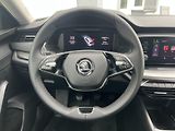 Škoda Octavia (2022) 2.0TDI AMBITION ČR NOVÉ 1.MAJ - náhled 12