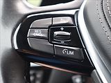 BMW Řada 5 3,0 XD SportLine Adaptive LED - náhled 14