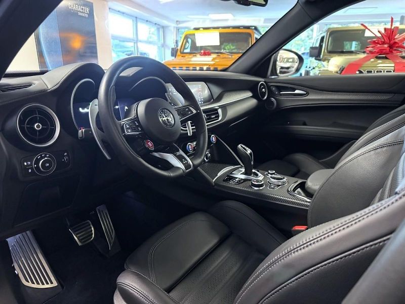 Alfa Romeo Stelvio (2025) 2.9 V6 BiTurbo 520k QV Carbon - fotka 9 z 28