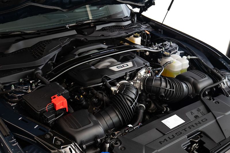 Ford Mustang Dark Horse - fotka 16 z 19