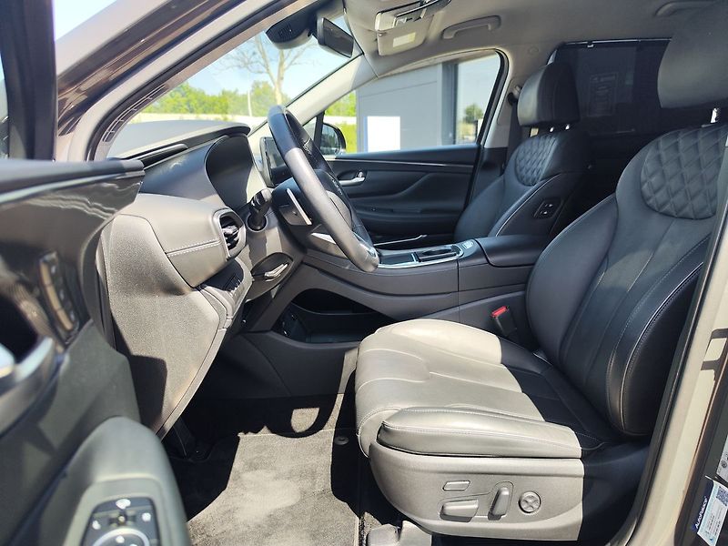 Hyundai Santa Fe 2.2 CRDI/142kW Style PRM DCT - fotka 18 z 40