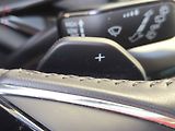 Škoda Octavia (2021) 2.0 TDi, ČR, Stylem, DSG, LED - náhled 25