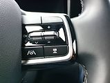 Kia Sorento (2021) 2.2 CRDI 148kW 4x4 8 DCT - náhled 15