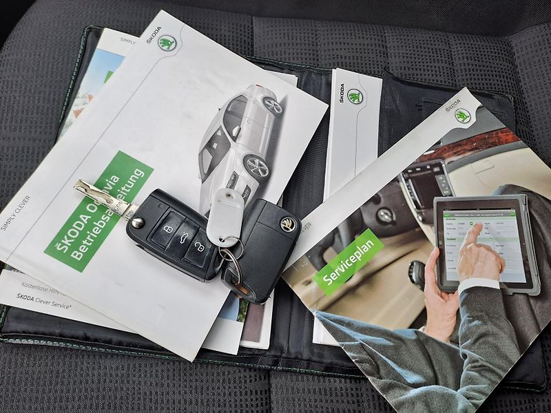 Škoda Octavia (2014) 1.6 TDi DSG PĚKNÝ STAV - fotka 31 z 33
