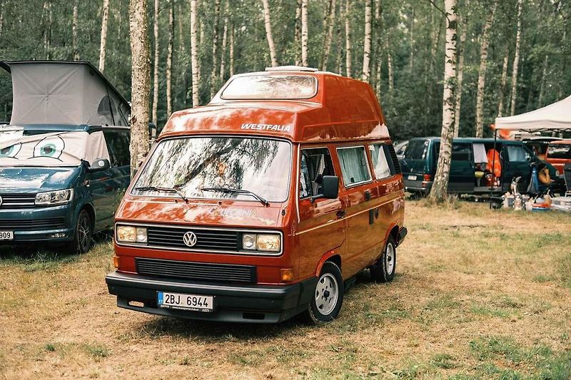 Odhalení proběhne v polovině září